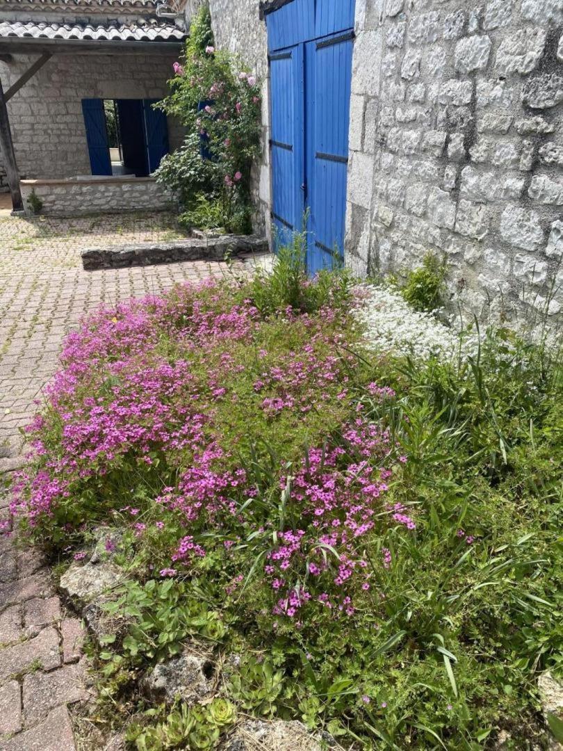 Gites De Lartigue Anthé Extérieur photo